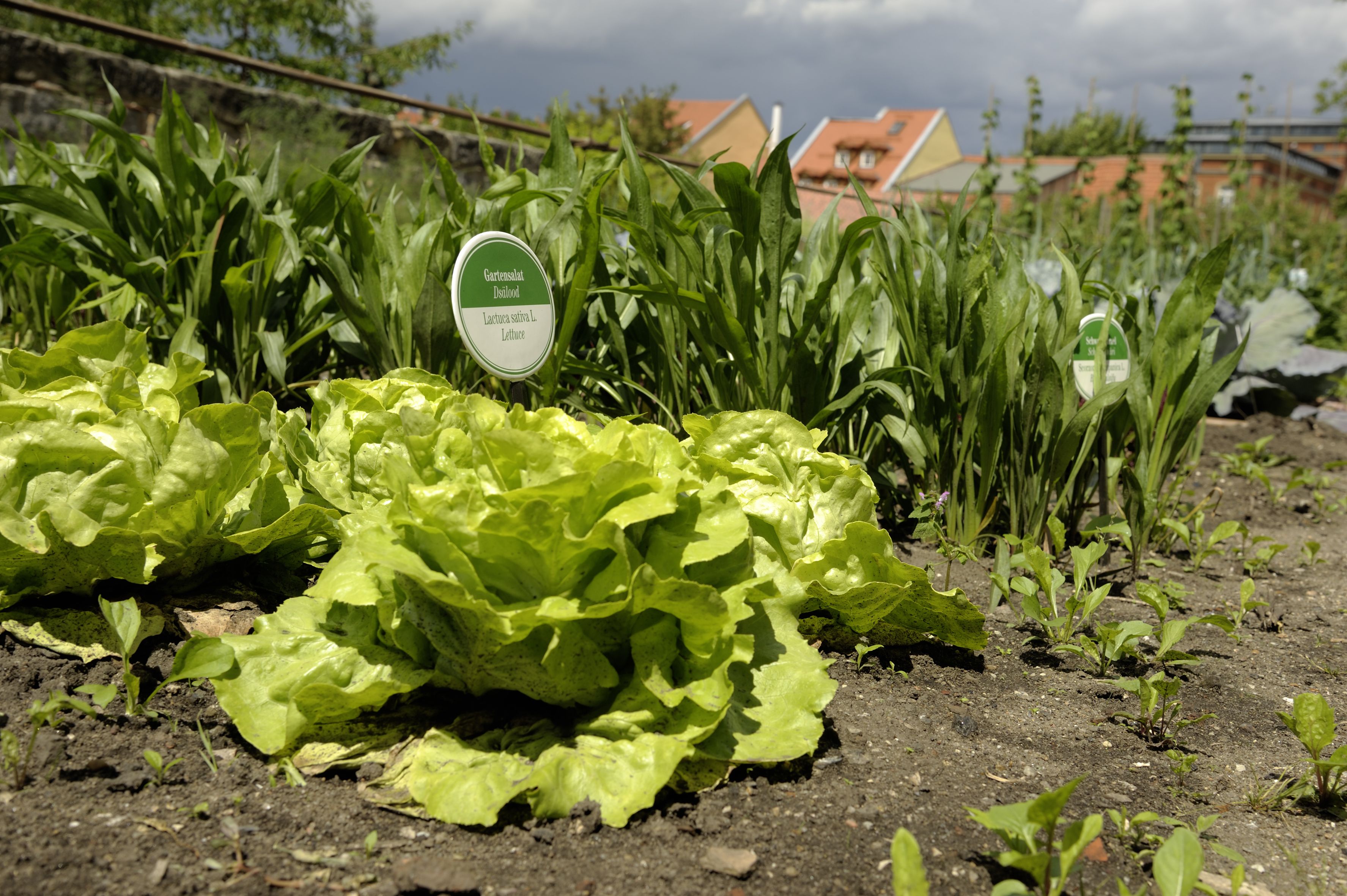 Hausgarten, Foto: Zentrum Welterbe, Jürgen Schraudner