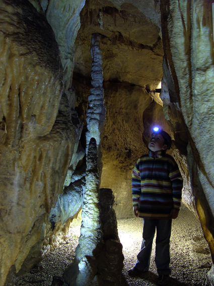 Binghöhle-Elefant, Foto: Katja Schönhöfer-Huhn