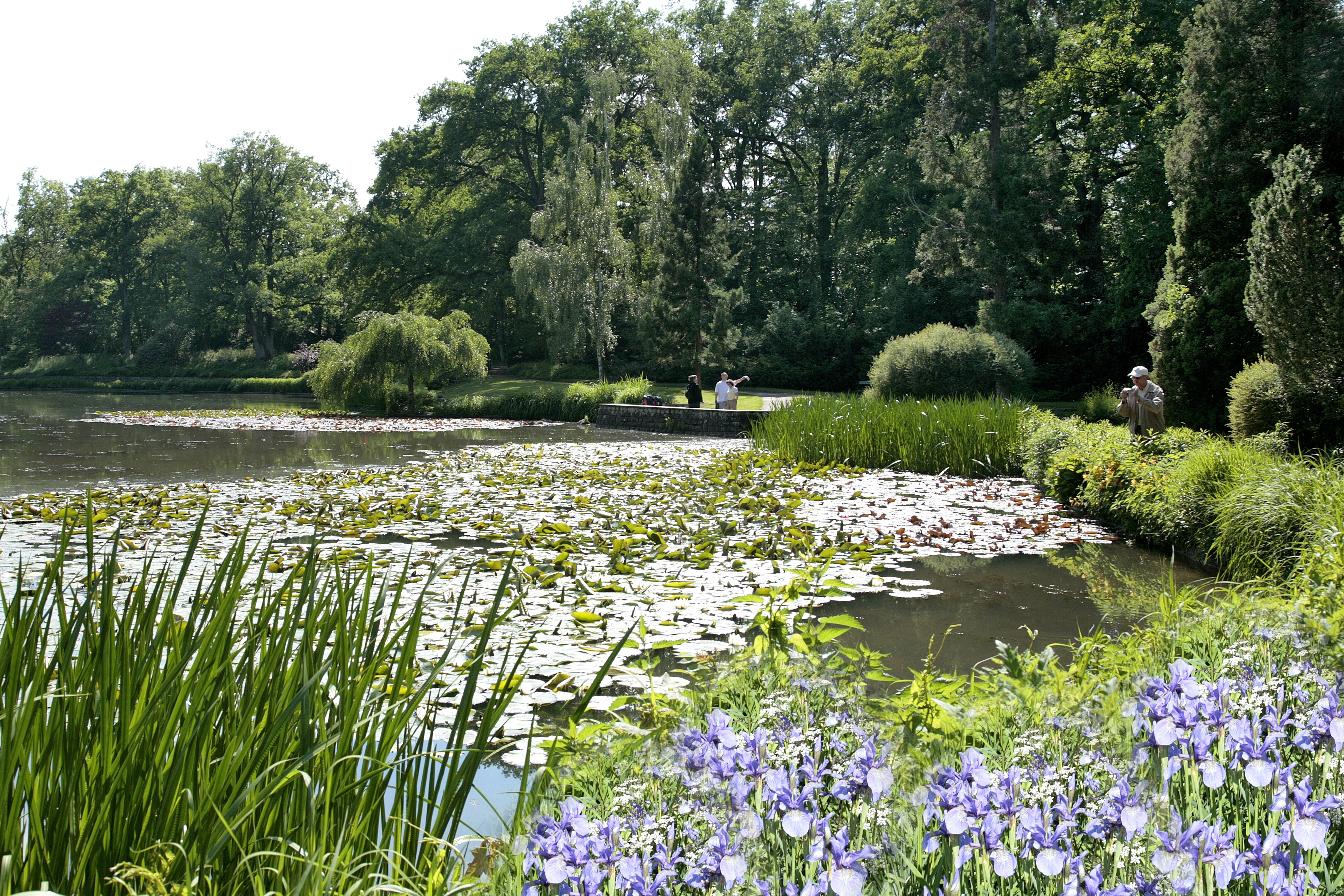 Hainpark mit Hainweiher, Foto: Sonja Krebs & Erich Weiss