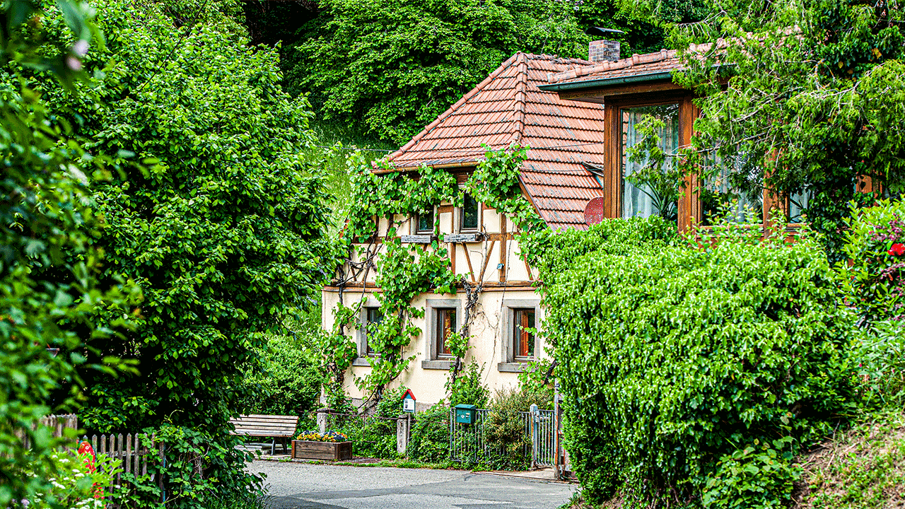 Rottenstein, Foto: Adrian Price