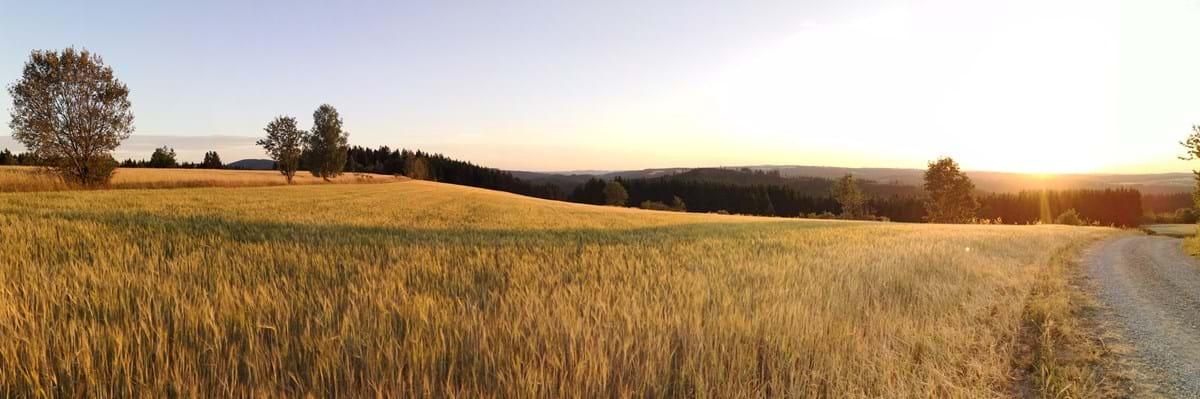 Dörnach-Steig, Foto: Stadt Wallenfels